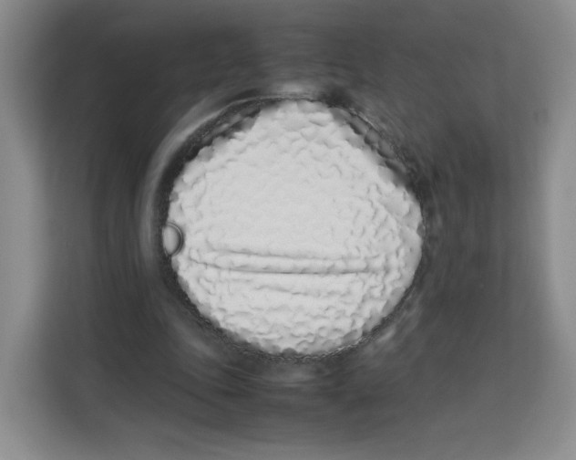 X0000113910343200910221338
