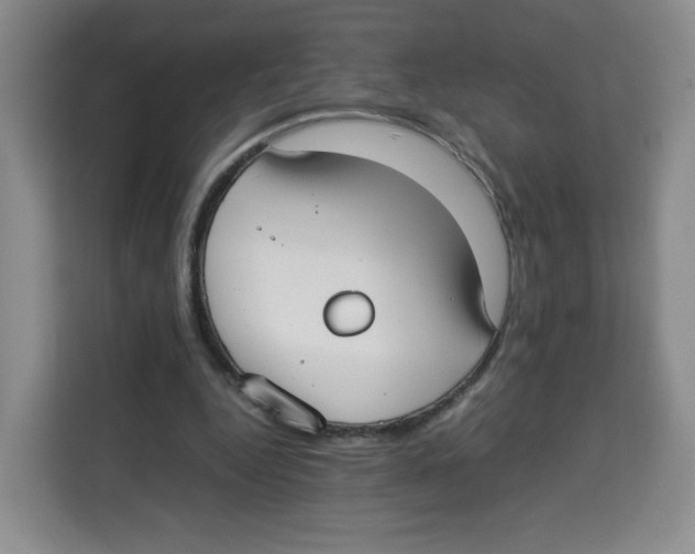 X0000113910344200910221338
