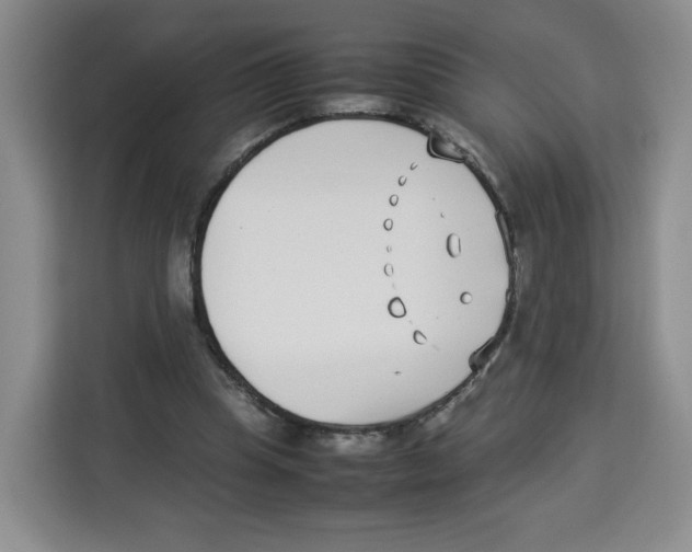 X0000113910345200910221338