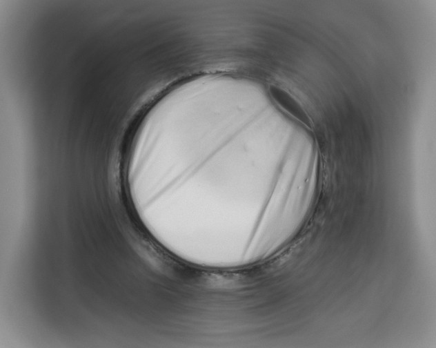 X0000113910346200910221338