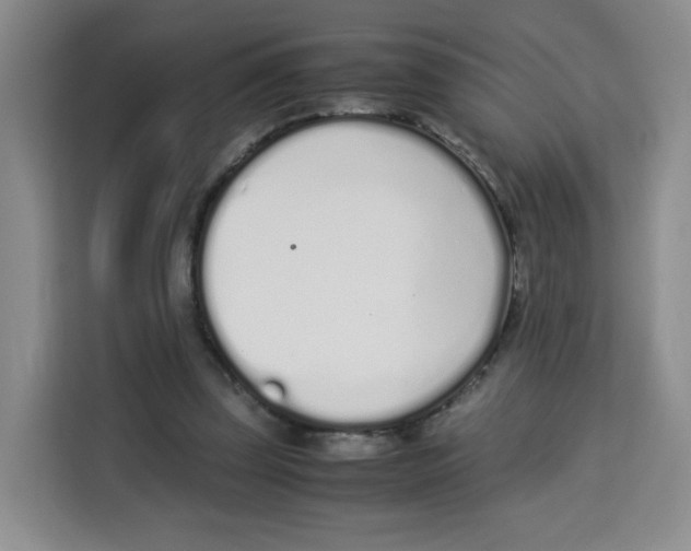 X0000113910347200910221338