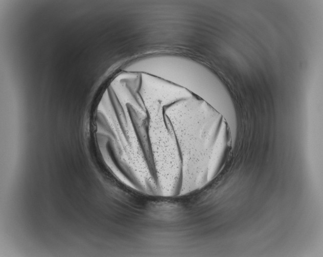 X0000113910348200910221338