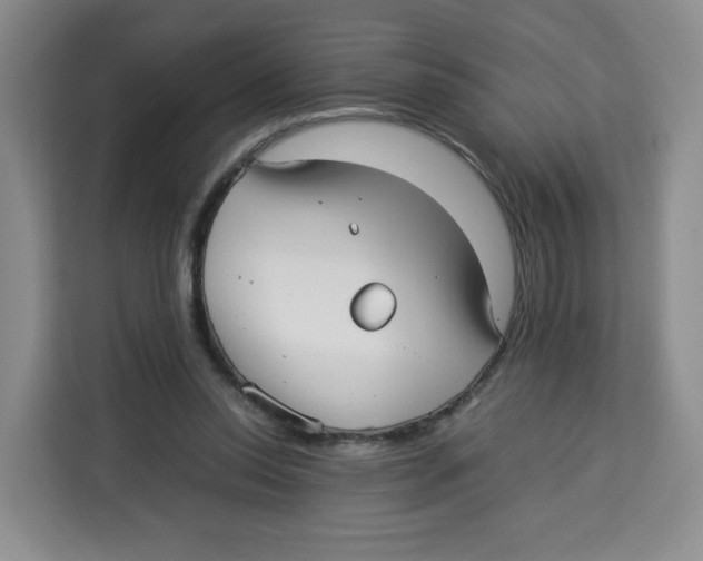 X0000113910350200910221338