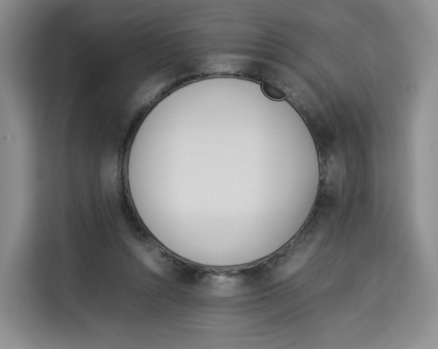 X0000113910352200910221338