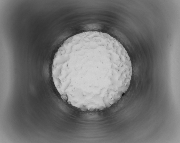 X0000113910353200910221338