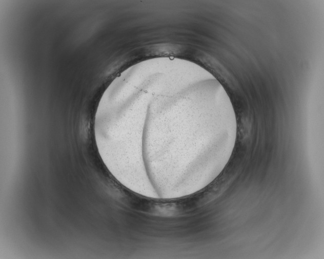 X0000113910355200910221338