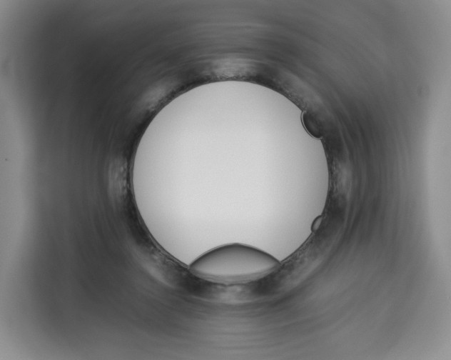 X0000113910356200910221338