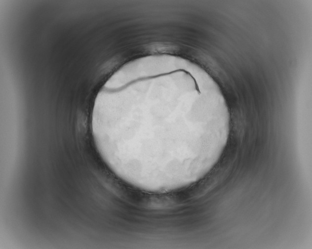 X0000113910357200910221338