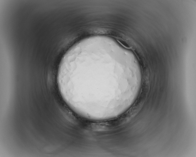 X0000113910359200910221338
