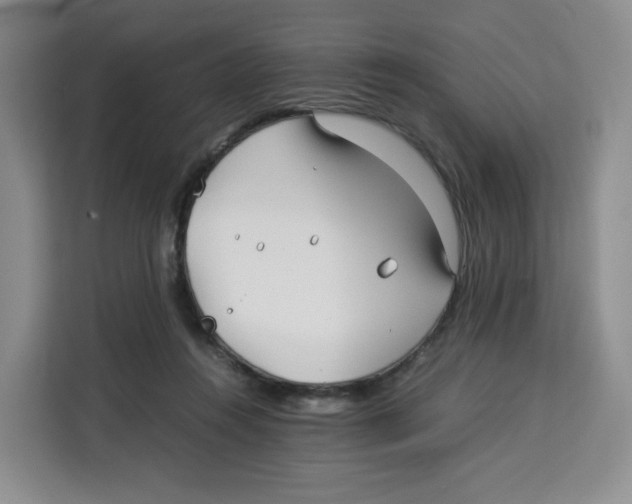X0000113910360200910221338
