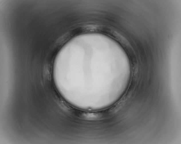 X0000113910361200910221338