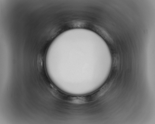 X0000113910363200910221338