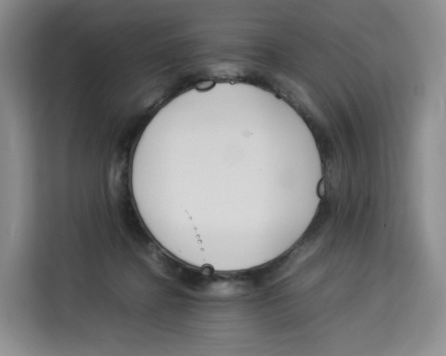 X0000113910364200910221338