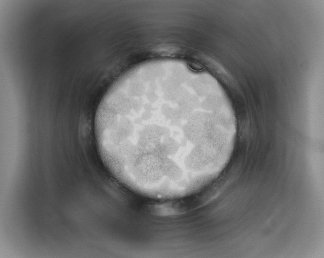 X0000113910365200910221338