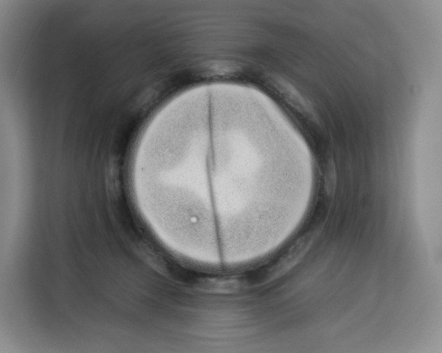 X0000113910366200910221338
