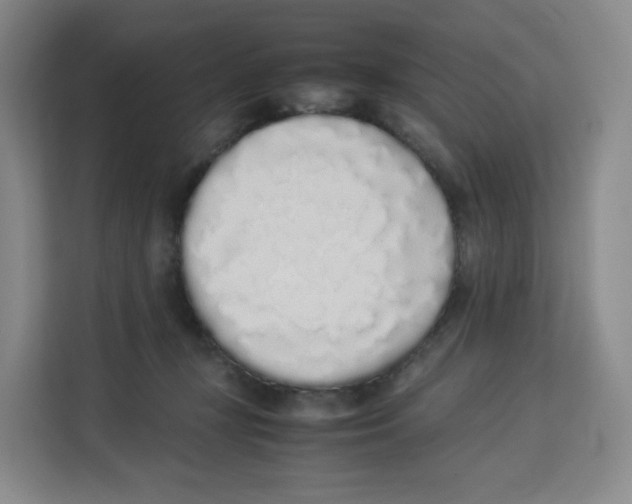 X0000113910367200910221338