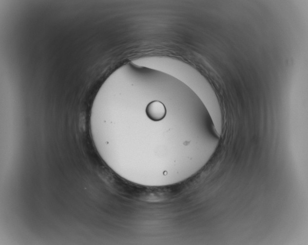 X0000113910368200910221338