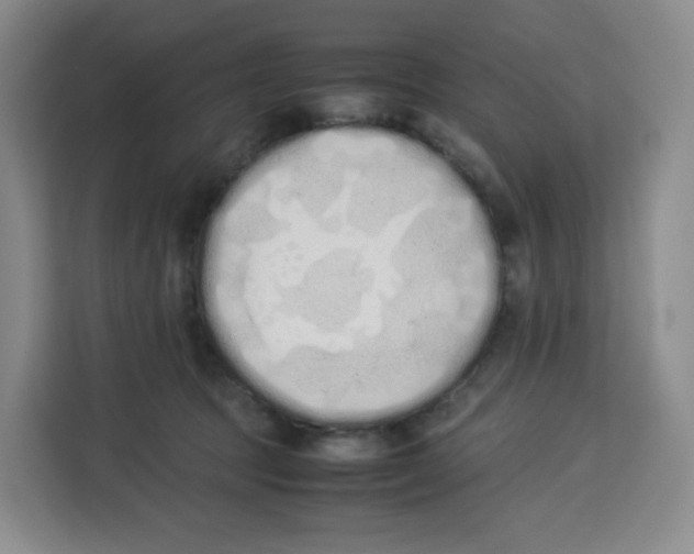 X0000113910369200910221338