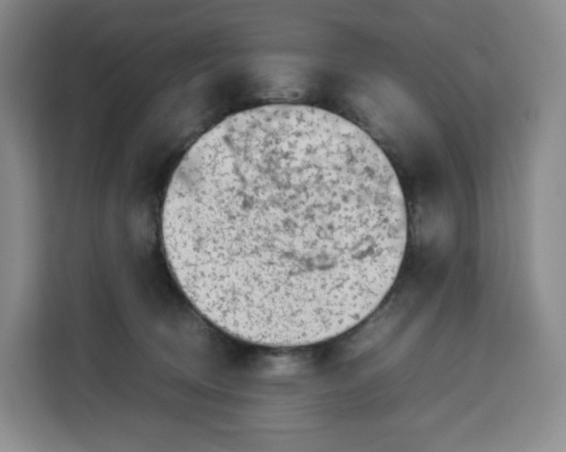 X0000113910370200910221338