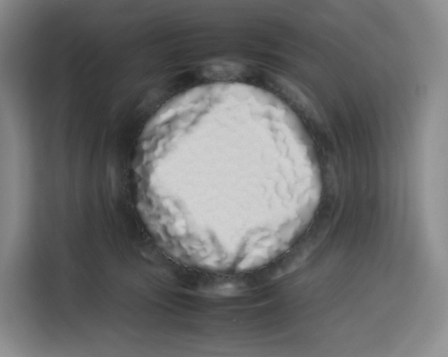 X0000113910371200910221338