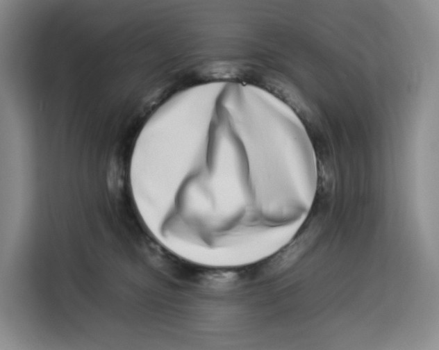 X0000113910374200910221338
