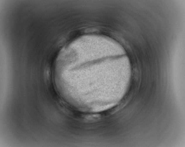 X0000113910375200910221338