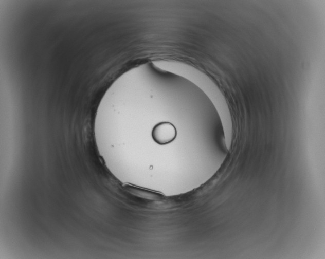 X0000113910376200910221338