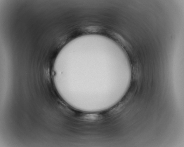 X0000113910377200910221338