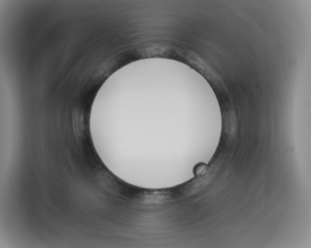 X0000113910378200910221338