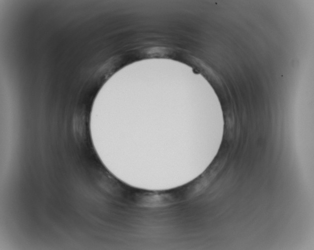 X0000113910379200910221338