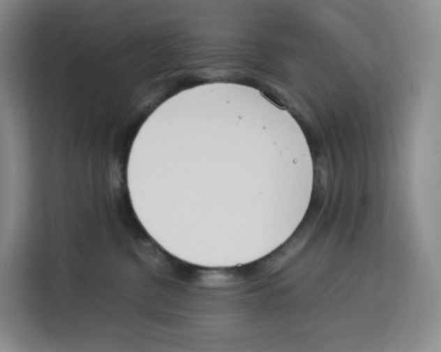 X0000113910380200910221338