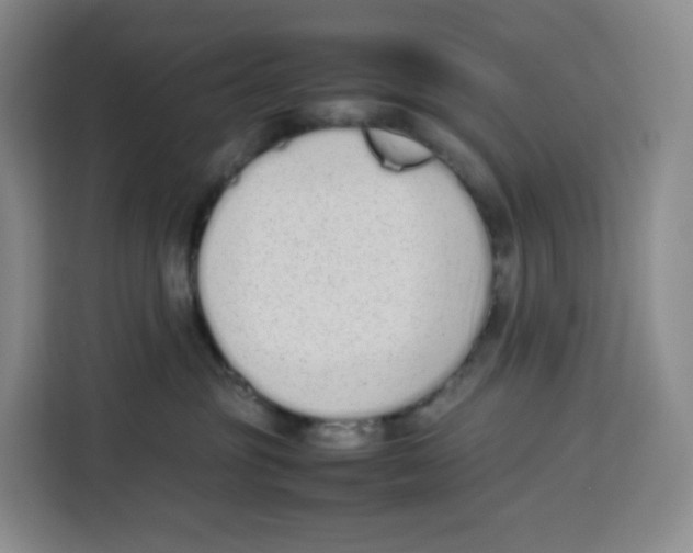 X0000113910381200910221338