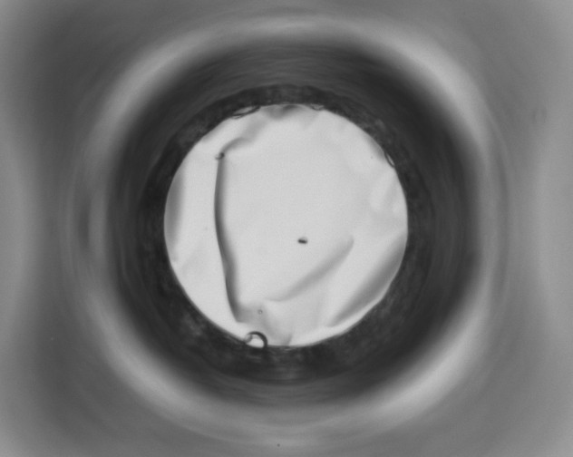 X0000113910382200910221338