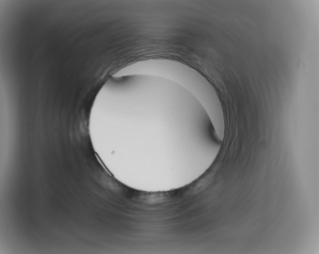 X0000113910384200910221338
