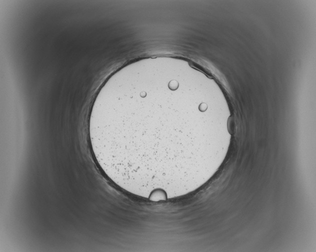X0000113910385200910221338