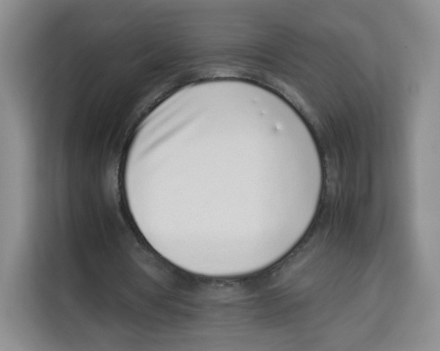 X0000113910386200910221338