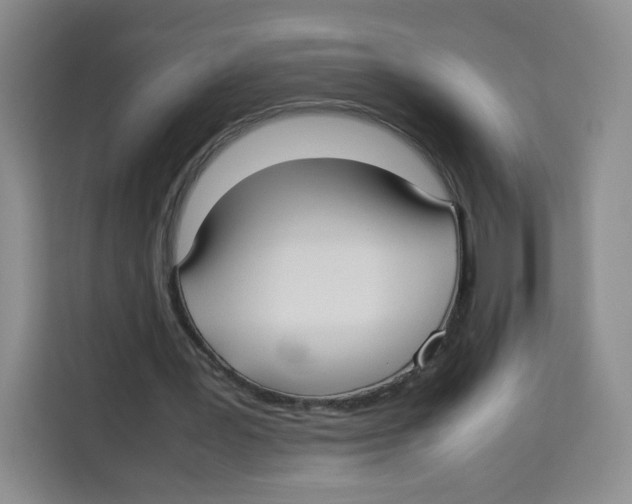 X0000113910387200910221338