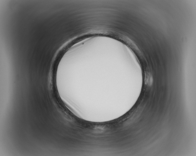 X0000113910388200910221338