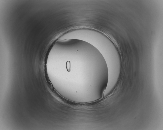 X0000113910389200910221338