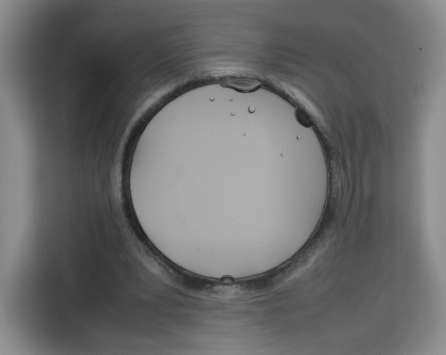 X0000113910391200910221338