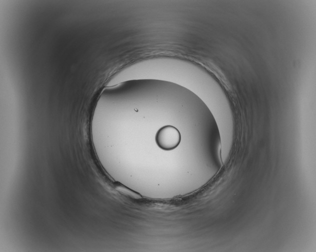 X0000113910393200910221338