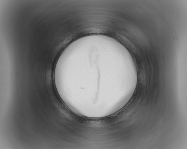 X0000113910394200910221338
