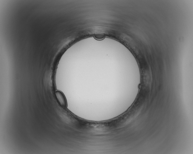 X0000113910395200910221338