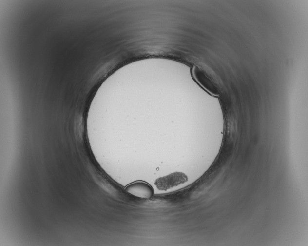 X0000113910397200910221338