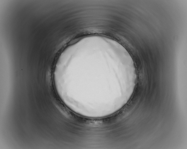 X0000113910398200910221337