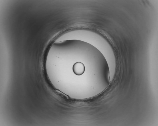 X0000113910399200910221337