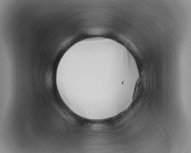 X0000113910400200910221337
