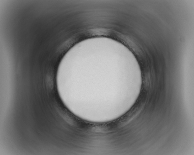 X0000113910402200910221337
