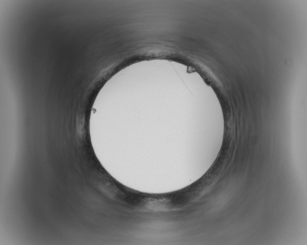 X0000113910403200910221337
