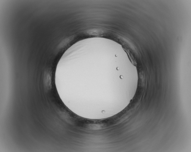 X0000113910404200910221337